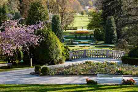 Spomladanska razstava cvetja in tulipanov(13)